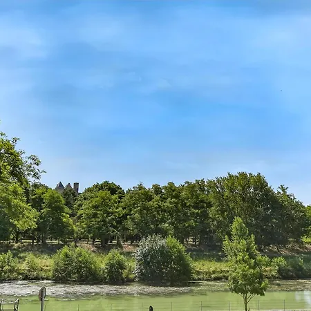 Les Bellevue Cite A 1km, Clim, Parking Public Gratuit, Parking Prive, Wifi - Cite At 1km, Aircon, Free Public Car Park, Private Parking Apartment *